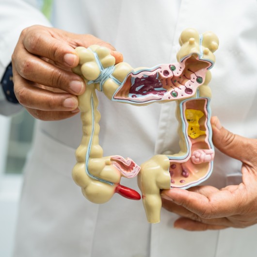 que es la microbiota intestinal