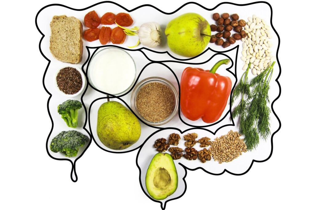 cuida de tu gran aliada, tu microbiota intestinal