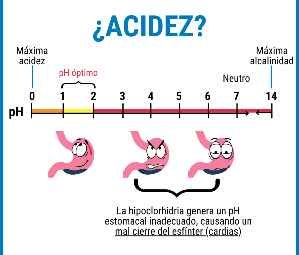 ráfico del pH del estómago explicando su relación con la gastritis.