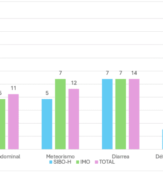 diferencias entre sibo de metano y sibo de hidrogeno